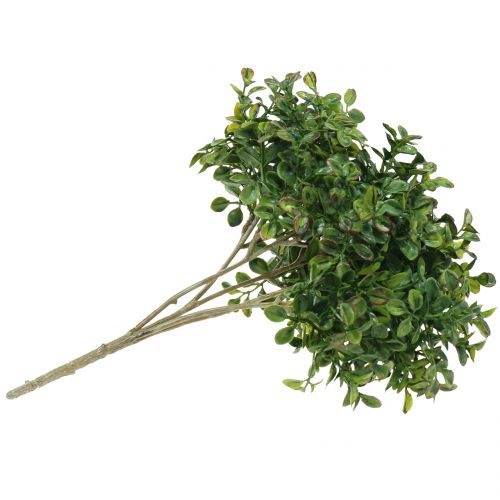 Floristik24 Buchsbaum Zweig Grün 27cm