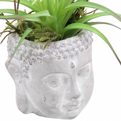 Floristik24 Buddhakopf zum Bepflanzen Beton Grau, Weiß gewaschen Ø8 H8cm