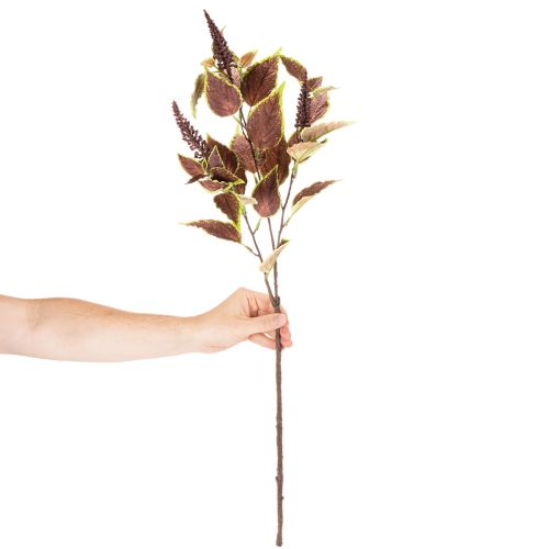 Künstliche Buntnessel mit roten und grünen Blättern, 20 cm, für Innenräume | Floristik24.at