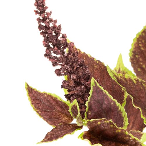 Künstliche Buntnessel mit roten und grünen Blättern, 20 cm, für Innenräume | Floristik24.at