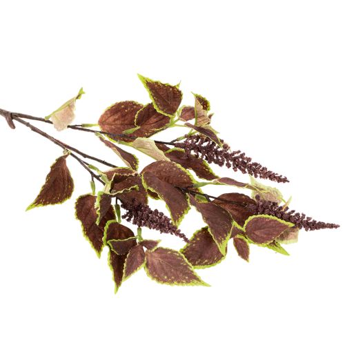 Künstliche Buntnessel mit roten und grünen Blättern, 20 cm, für Innenräume | Floristik24.at