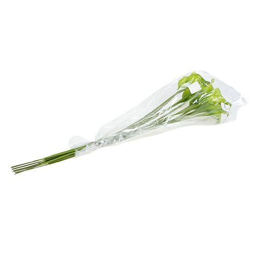 Floristik24 Calla künstlich Grün 8cm L57cm 12St