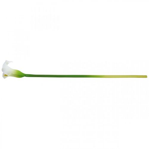 Floristik24 Künstliche Calla Weiß, Hochzeitsdeko, Seidenblume, Gedenktage L72cm