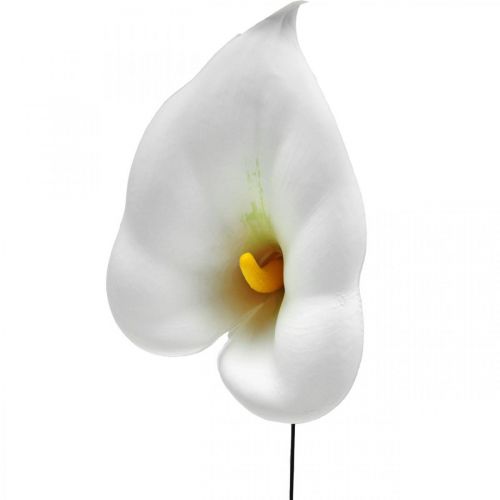 Artikel Calla mittel am Draht 50 St