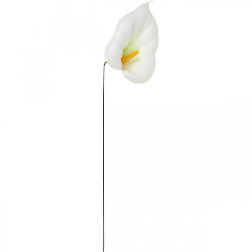 Artikel Calla mittel am Draht 50 St