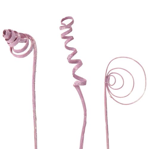 Floristik24 Cane Coil Cane Cone Cane Sortiment Berry 30cm 75 St