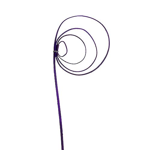 Floristik24 Cane Coil Lila 25 St.