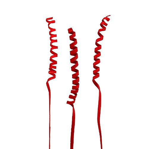 Floristik24 Cane Spring mini Rot 25 St