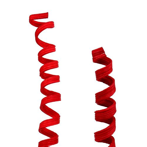 Floristik24 Cane Spring mini Rot 25 St