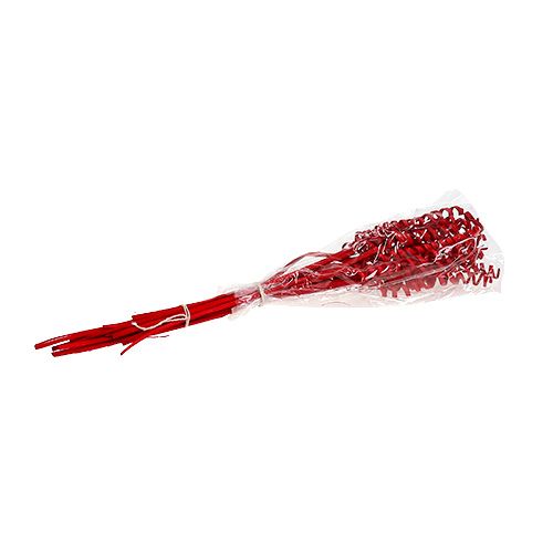 Floristik24 Cane Spring mini Rot 25 St