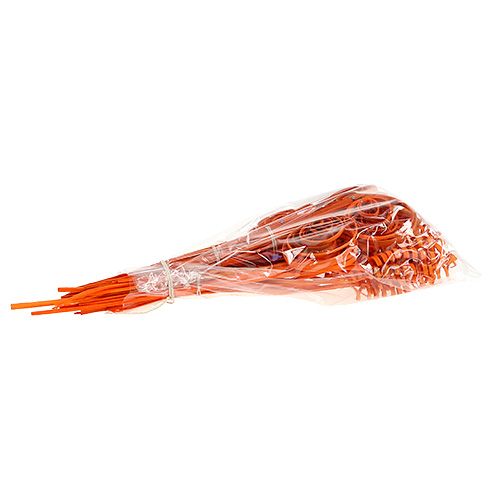 Artikel Cane Sortiment mini orange 75 St