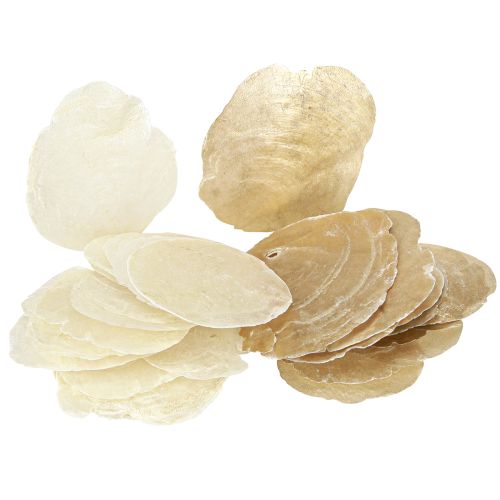Capiz Scheiben in Natur Gold Muschel Schalen 60 St
