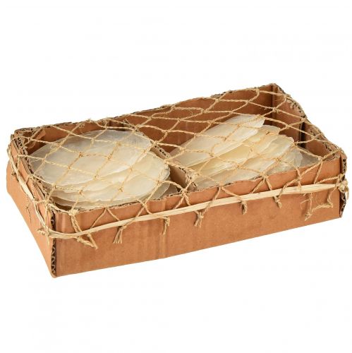 Artikel Capiz Muscheln Capizscheiben Perlmuttscheiben Natur 7,5–9,5cm 300g