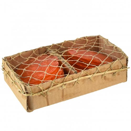 Artikel Capiz Muscheln Capizscheiben Perlmuttscheiben Orange 7,5–9,5cm 300g