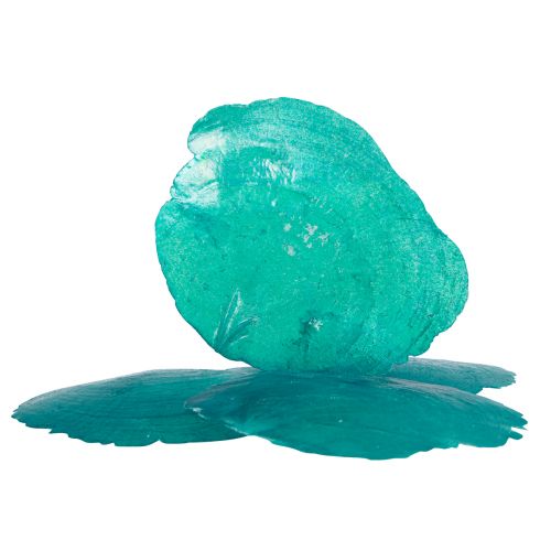 Floristik24 Capiz Muscheln Capizscheiben Perlmuttscheiben Türkis 7,5–9,5cm 300g