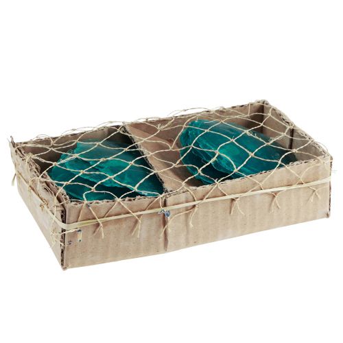 Artikel Capiz Muscheln Capizscheiben Perlmuttscheiben Türkis 7,5–9,5cm 300g