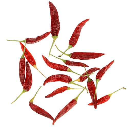 Floristik24 Chilis rot kurz Chili 250g