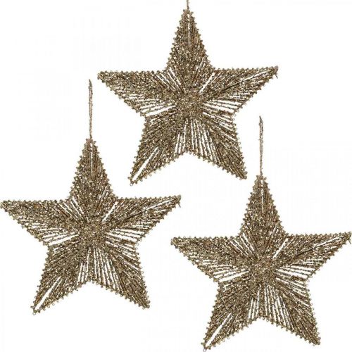 Floristik24 Christbaumschmuck, Adventsdeko, Stern-Anhänger Golden B20,5cm 6St