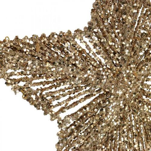 Artikel Christbaumschmuck, Adventsdeko, Stern-Anhänger Golden B20,5cm 6 St