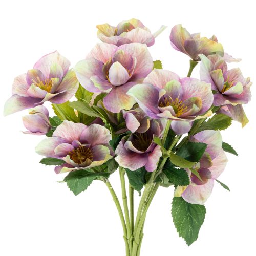 Kunstblume Christrose Bund aus Kunststoff 35 cm Violett 6 Blüten für Innen bestellen | Floristik24.at