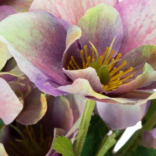 Kunstblume Christrose Bund aus Kunststoff 35 cm Violett 6 Blüten für Innen | Floristik24.at