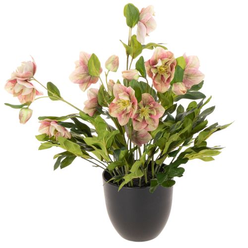 Künstliche Christrose Helleborus im Topf 50cm rosa-grün für Wohnraumdekoration