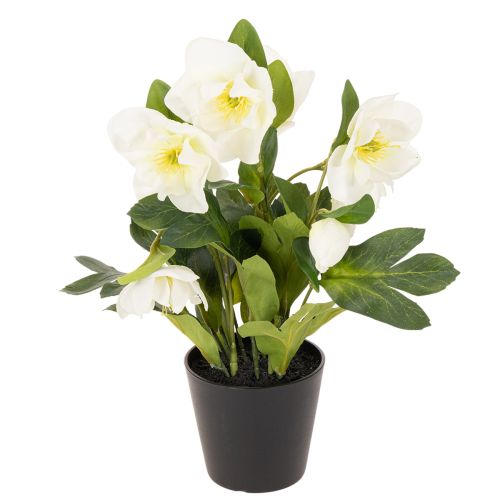 Christrose künstlich Topfblume 34 cm weiß für Tischdekoration