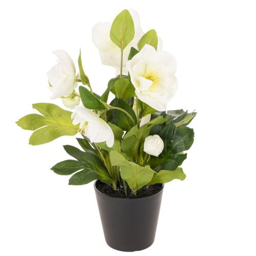 Christrose künstlich Topfblume 34 cm weiß für Tischdekoration | Floristik24.at
