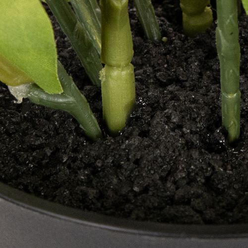 Christrose künstlich Topfblume 34 cm weiß für Tischdekoration | Floristik24.at