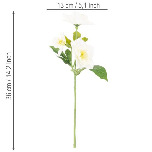 Künstliche Christrose Weiß Bund 36 cm Weihnachtsdekoration Innenbereich | Floristik24.at
