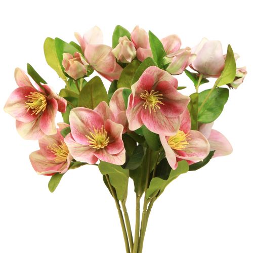 Artikel Eleganter Strauß Rosa Christrosen – 35 cm 6St.