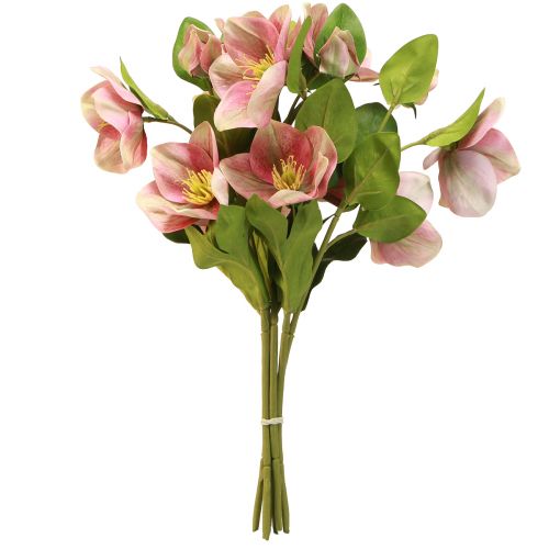 Artikel Eleganter Strauß Rosa Christrosen – 35 cm 6 St.