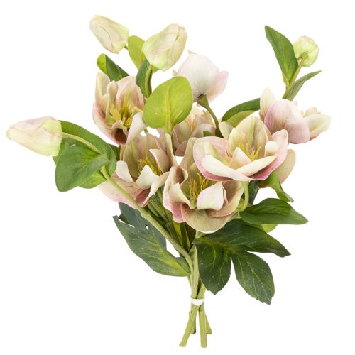 Künstliche Christrose Rosa-Grün 30 cm Bund mit 4 Stielen