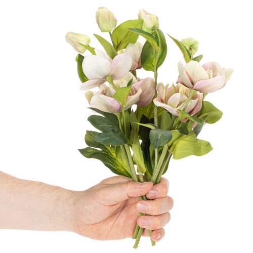 Künstliche Christrose Rosa-Grün 30 cm Bund mit 4 Stielen | Floristik24.at