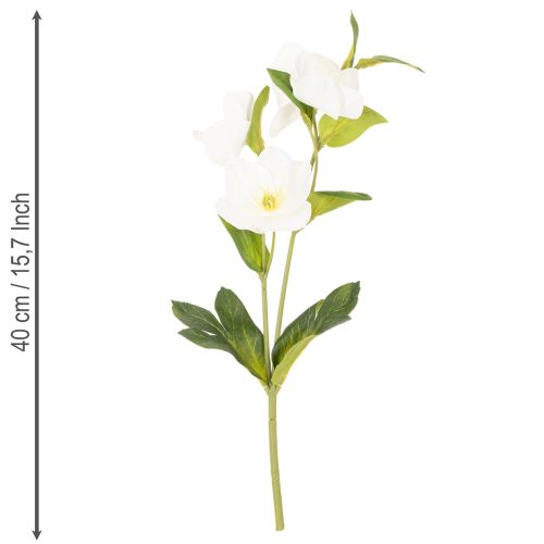 Christrose künstliche Blumen weiß, 40 cm, 4 Stück Bund, Dekoration | Floristik24.at