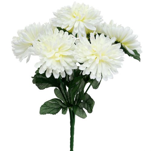 Floristik24 Chrysantheme Weiß mit 7 Blüten