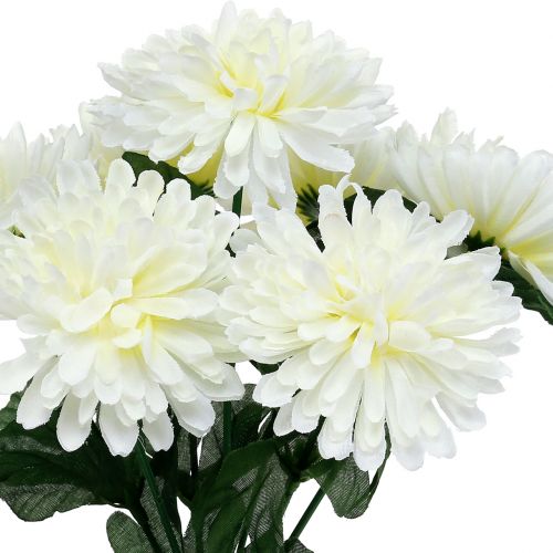 Artikel Chrysantheme Weiß mit 7 Blüten