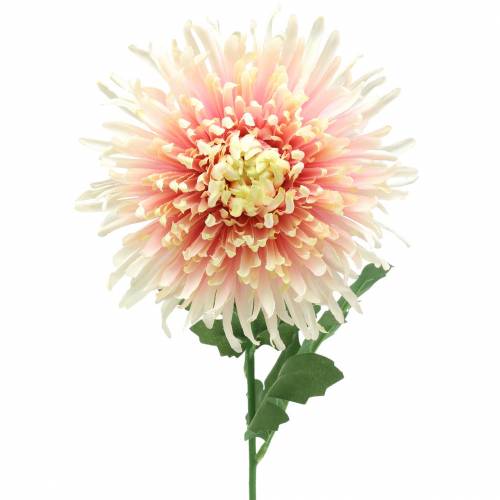 Floristik24 Chrysantheme Blütenzweig Rosa künstlich 64cm