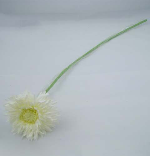 Floristik24 Chrysantheme Teddy 63cm Weiß