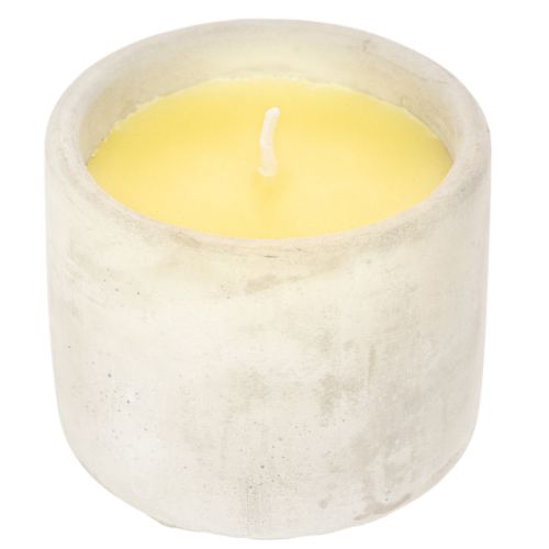 Citronella-Duftkerze im Zementtopf, Ø 8 cm, Gelb | Floristik24.at