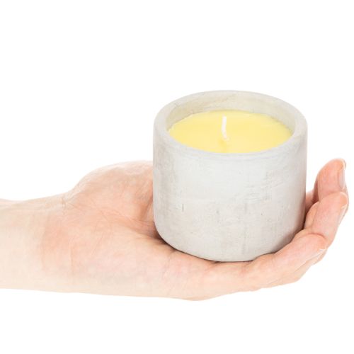 Citronella-Duftkerze im Zementtopf, Ø 8 cm, Gelb | Floristik24.at