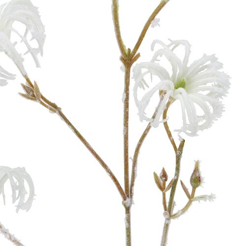 Artikel Clematis Zweig Weiß beflockt 62cm 3St