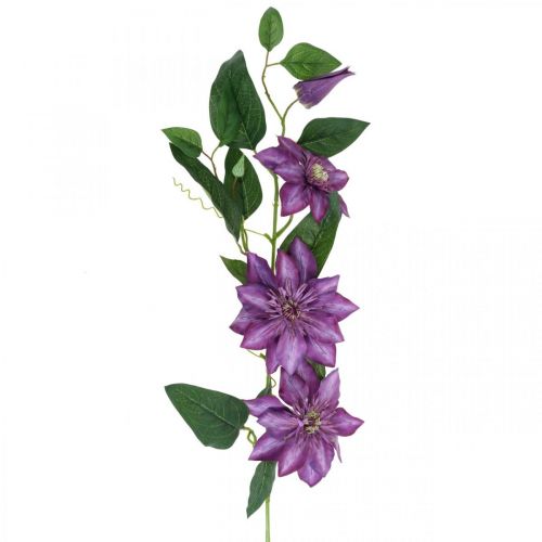 Floristik24 Künstliche Clematis, Seidenblume, Dekozweig mit Clematisblüten Violett L84cm