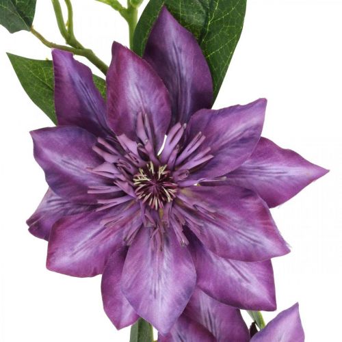 Künstliche Clematis, Seidenblume, Dekozweig mit Clematisblüten Violett L84cm