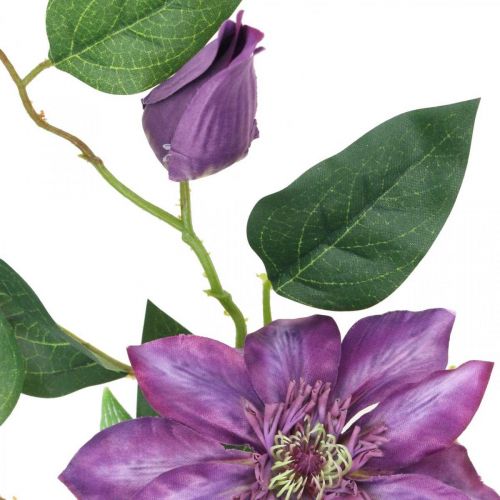 Floristik24 Künstliche Clematis, Seidenblume, Dekozweig mit Clematisblüten Violett L84cm