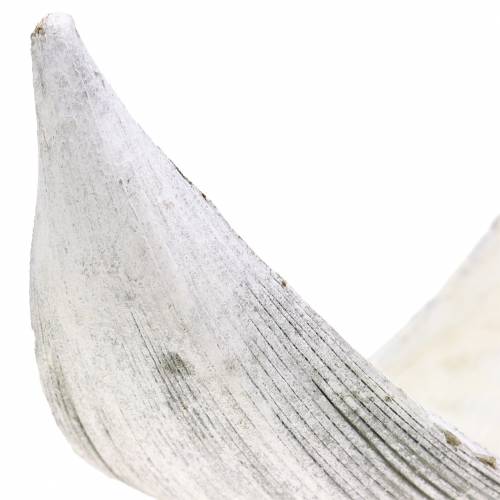 Artikel Kokosschale Kokosblatt weiß gewaschen 500g