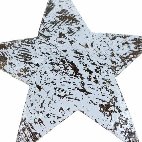 Artikel Kokos Stern Weiß gewaschen 10cm 20St