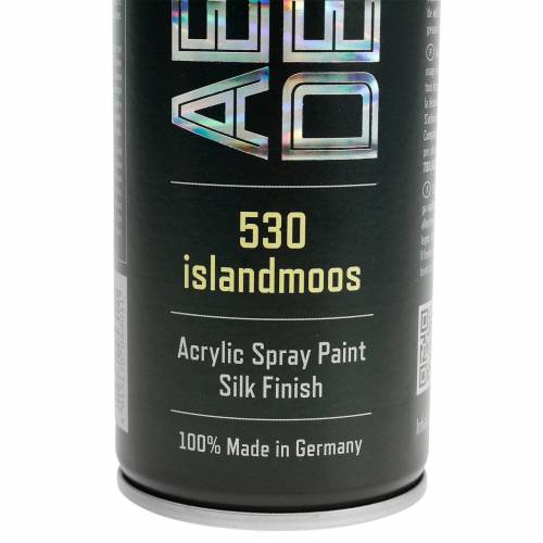 Floristik24 Color Spray Seidenmatt 400ml Islandmoos Moosspray