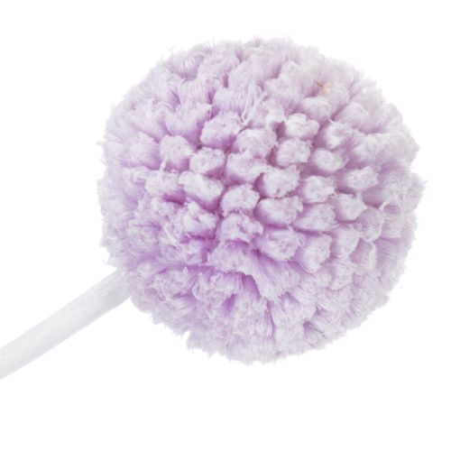 Artikel Craspedia Trockenblumen für moderne Tischdekoration in Ihrem Zuhause 55cm 20St