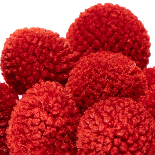 Trockenblumen Craspedia Rot 55cm 20 Stiele für Wohn- und Tischdekoration | Floristik24.at